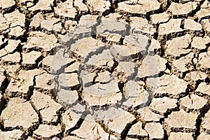 Drought Relief photo