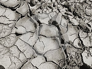 Drought season has begun photo