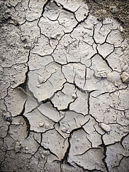 Drought soil with cracks on surface, detailed texture, close up. Dry cracked earth background, top view.
