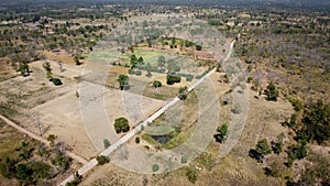 Drought-stricken areas The trees wither and die.