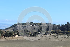 Drought stricken central coast California wine country