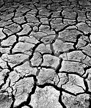 Drought Stricken Landscape