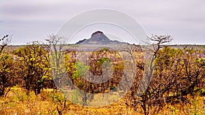 The drought stricken savanna area of northern Kruger National Park