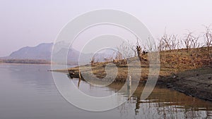 Drought, Water level in the dam decreased until the stumps appeared