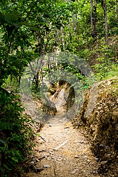 The droughty trail