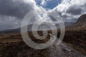 The drovers road near Black Mount