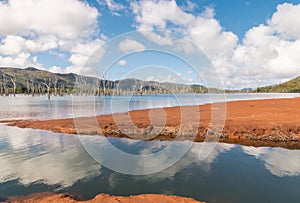 Drowned forest at Yate Lake in Blue River National Park, New Caledonia photo