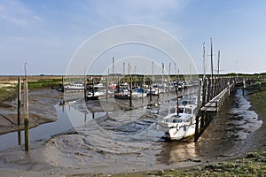 Drowned Land of Saeftinghe