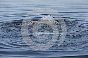 Drowning man reaching for help in sea, closeup