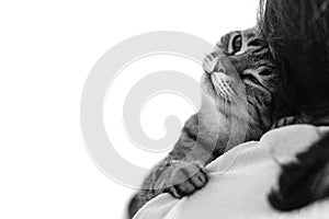 Drowsy sleeping cute cat on a shoulder. Black and white