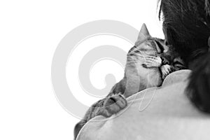 Drowsy sleeping cute cat on a shoulder. Black and white