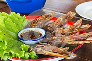 Druck fired on big dish