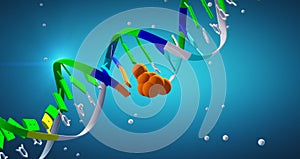 Drug In Covalent Complex With A DNA Strand Causing Mutation, Structural Distortion