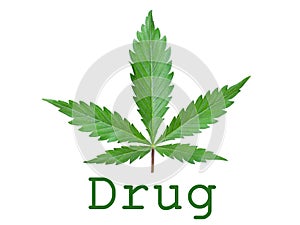 Drug green leaf concept logo icon on white background