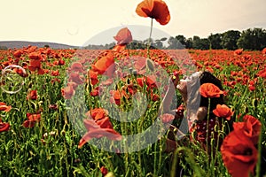 Drug, opium, narcotics. Woman blow bubble in poppy field, dreams, wishes.