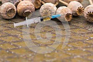 Drug opium poppy inside the syringe. Deadly drug addiction