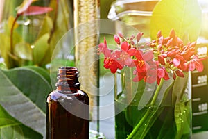 Drug research, Natural organic botany and scientific glassware, Alternative green herb medicine, Natural skin care beauty products