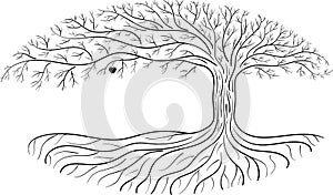 Druidic apple tree, oval silhouette, black and white tree logo with one apple