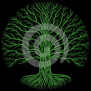 Druidic tree, vector logo