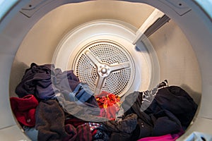 Drum of a dometstic Tumble Drier