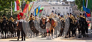 Drum horse at the Trooping the Colour, annual military parade in London, UK.