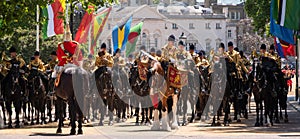 Drum horse at the Trooping the Colour, annual military parade in London, UK. photo