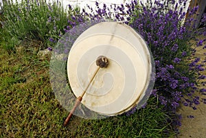 Drum in shamanism on a meadow