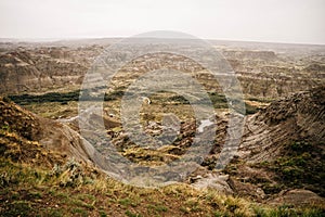 Drumheller badlands landscape in summer, Dinosaur Provincial Park, Alberta, Canada.