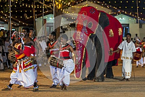 Drummers perform ahead of a parade elephant during the Kataragama Festival in Sri Lanka.