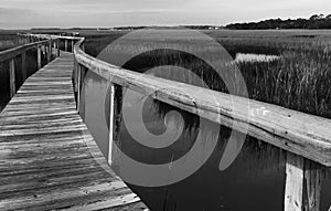 Drummond Point Park Amelia Island photo