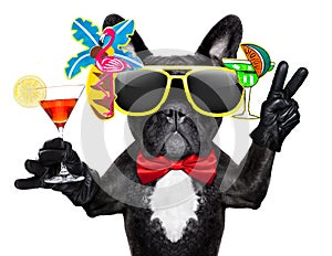 Drunk cocktail party dog