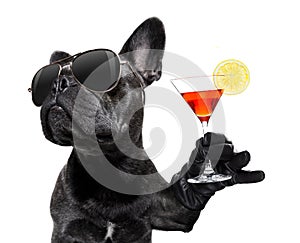 Drunk dog drinking a cocktail