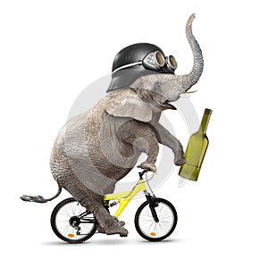 Drunken elephant.