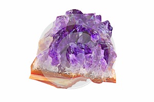 Druse of the amethyst