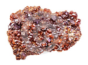 druse of Andradite garnet crystals isolated