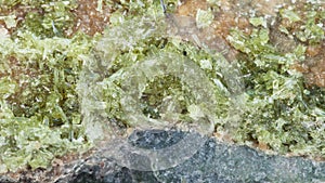 Druse of crystals of Vesuvianite stone photo