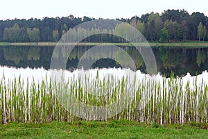 Druskininkai Vijunele lake