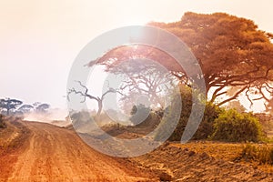 Dry African landscape with dirt road at sunset