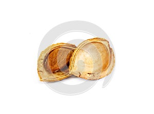 Dry apricot nut on white background.