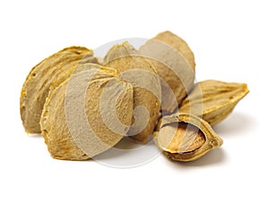 Dry apricot nut