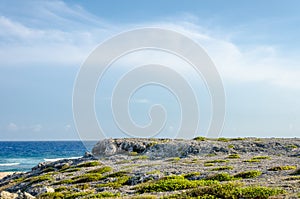 Dry and arid desert landscape in Aruba