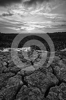 Dry and arid land with failed crops due to climate change and global warming.