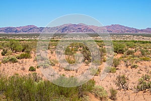 Dry arid landscape