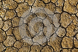 Dry arid soil