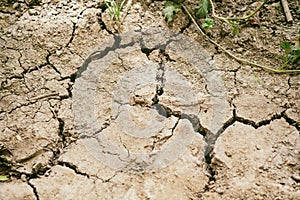 Dry arid soil that is dehydrated in summer does not grow crops.