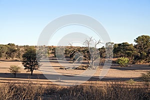 Dry Auob River, Namibia
