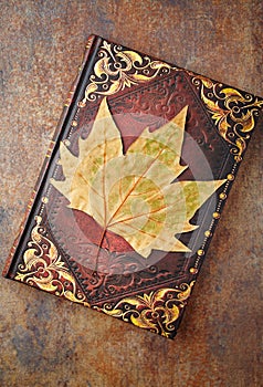 Dry autumn leaf on an old style books