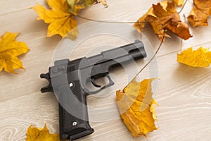 dry autumn leaves and gun