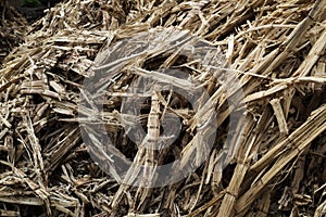 The dry bagasse accumulates. The sugar cane is completely squeezed of the nectar, leaving only residue and fibers. Sugar cane