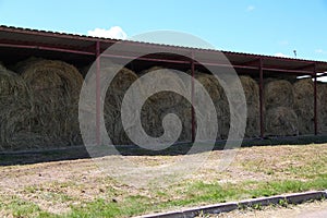 Dry baled hay bales stack, rural countryside straw background